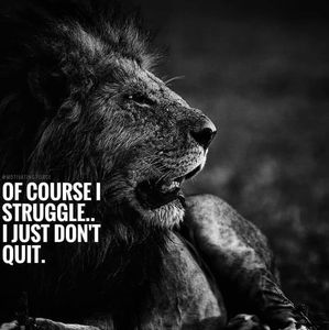 Meet your Posher, Anne